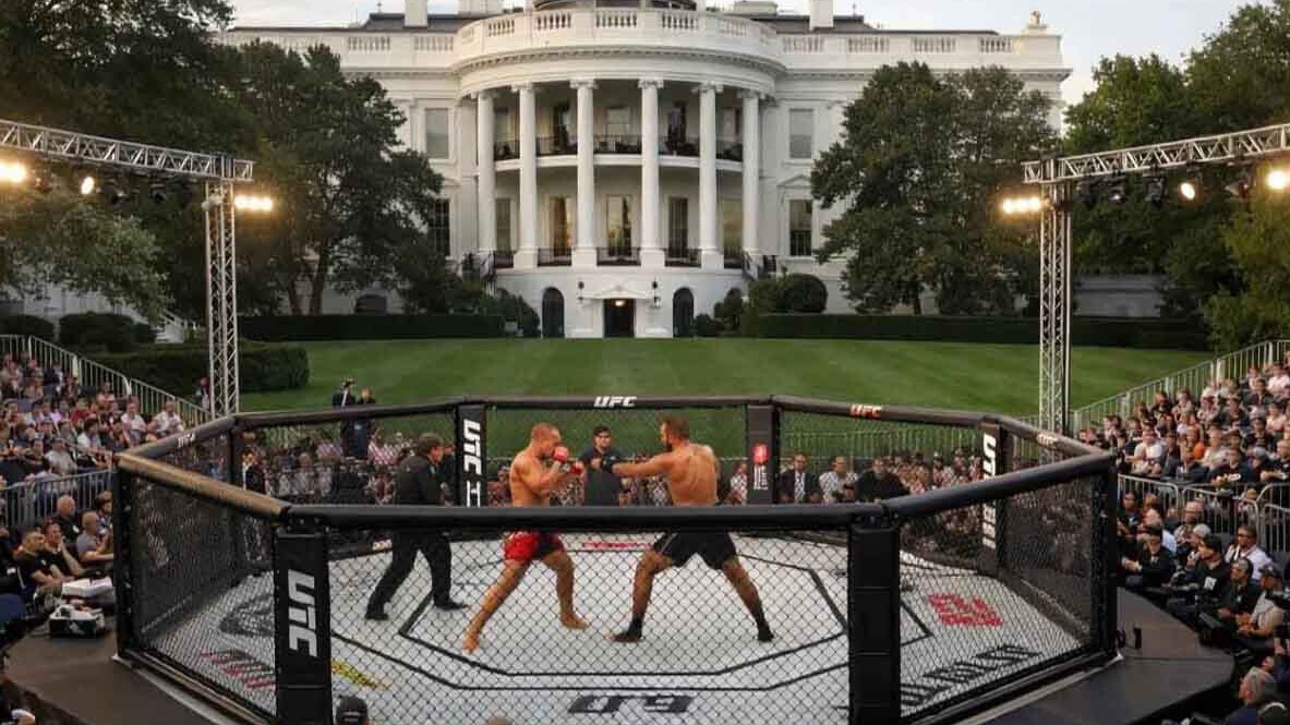 New best parada wave