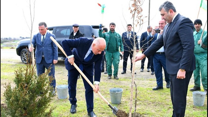 New best parada wave