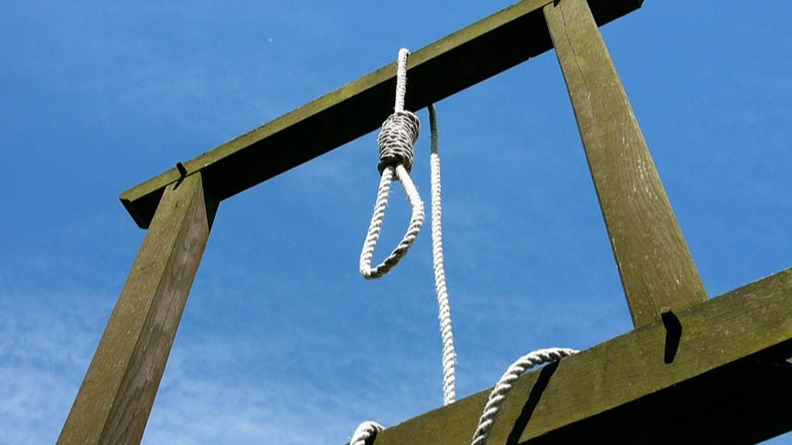 New best parada wave