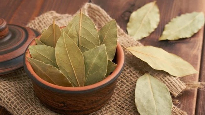 New best parada wave