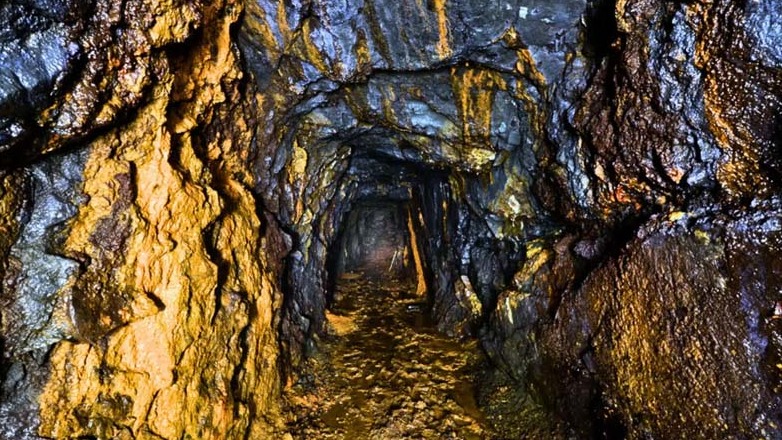 New best parada wave