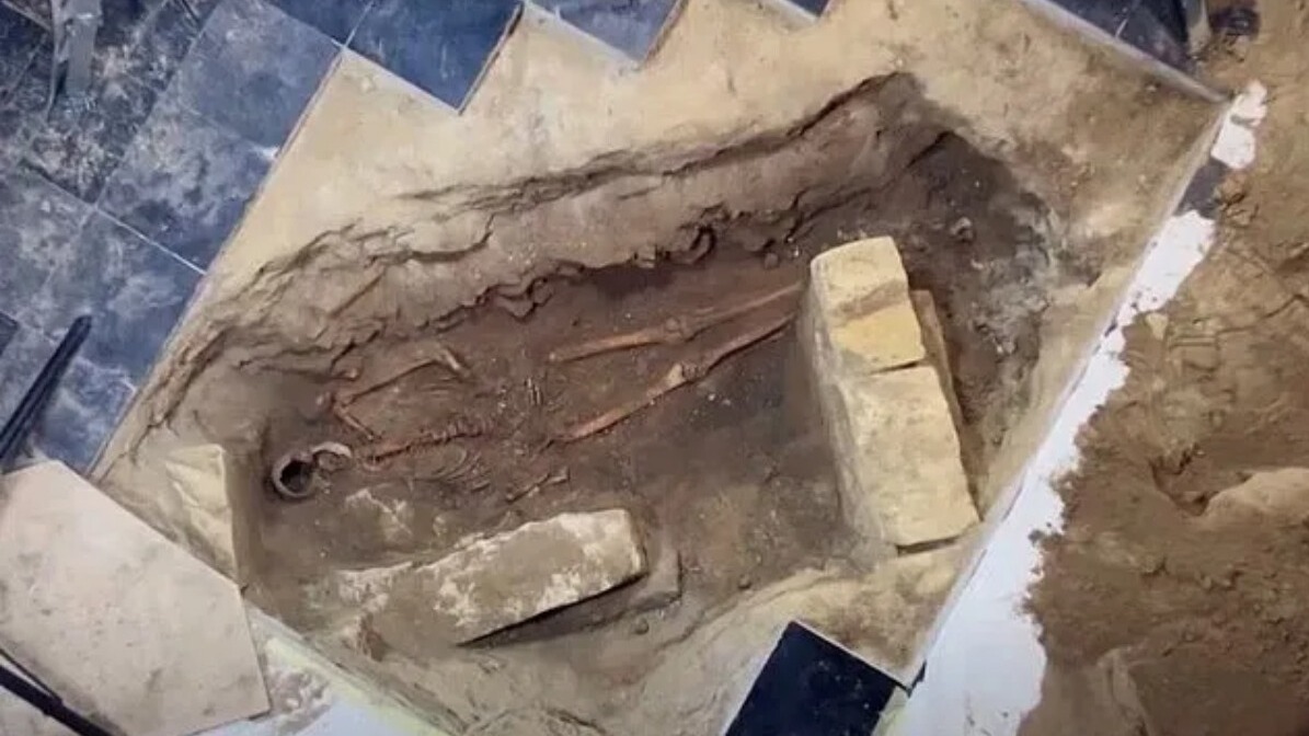 New best parada wave