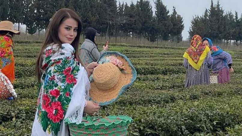 New best parada wave