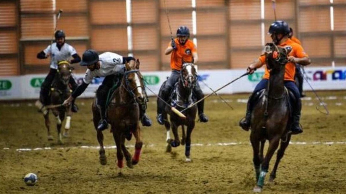 New best parada wave