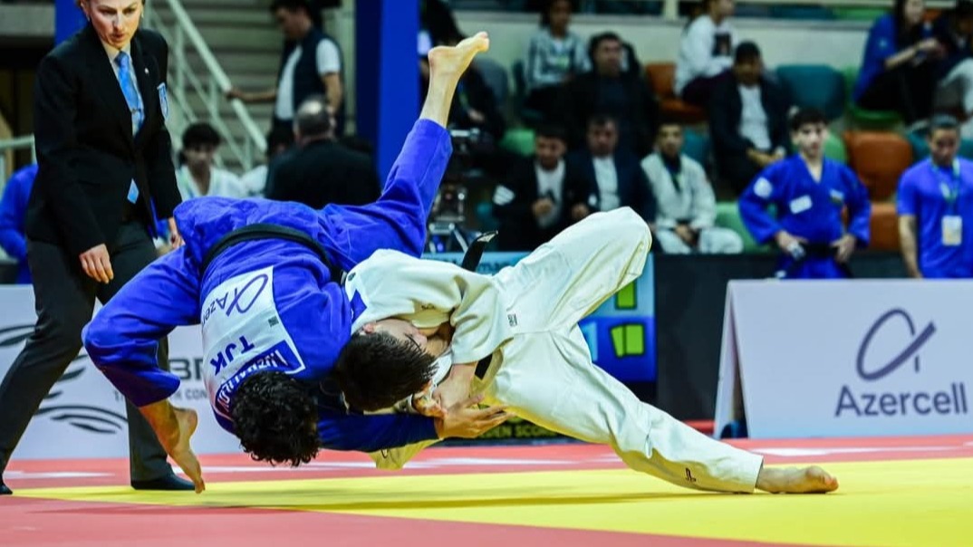 New best parada wave