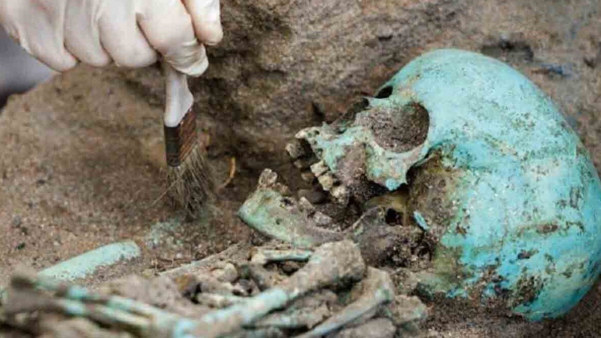 New best parada wave