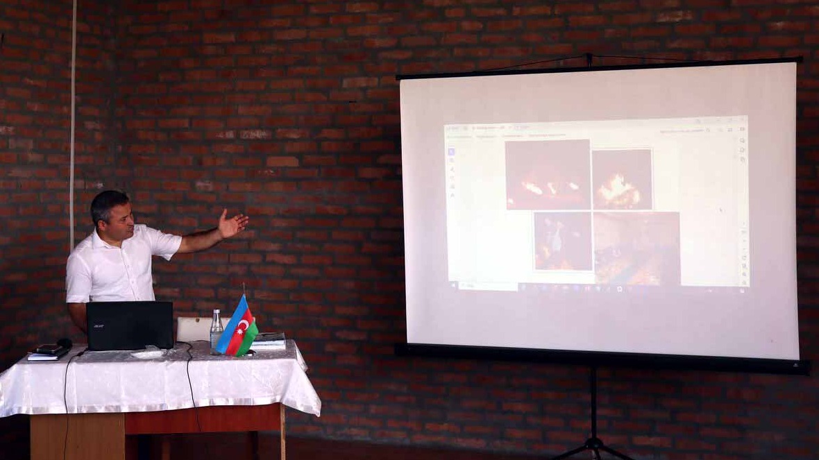 New best parada wave