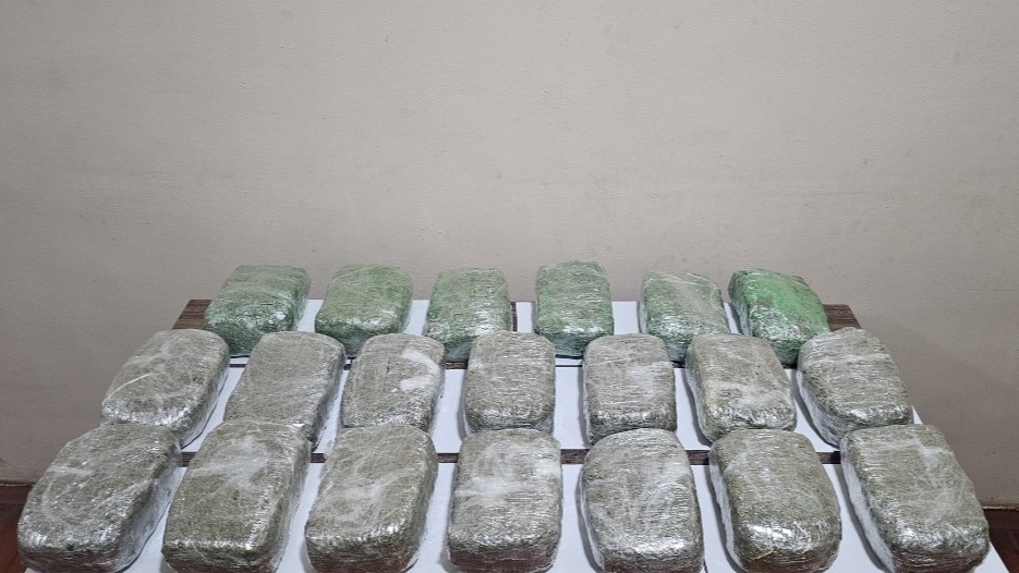 New best parada wave