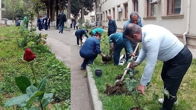 New best parada wave