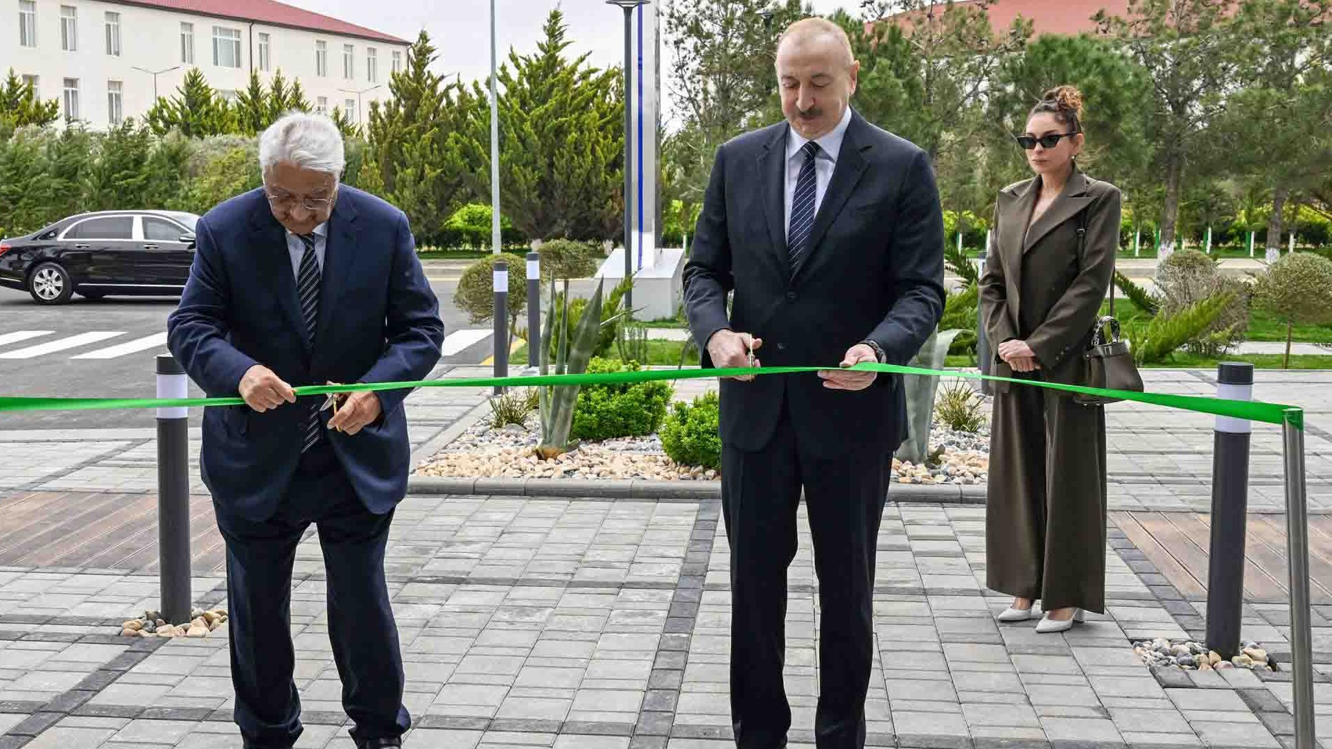 New best parada wave