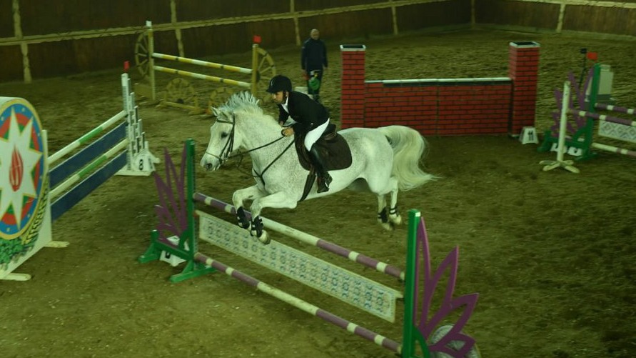 New best parada wave