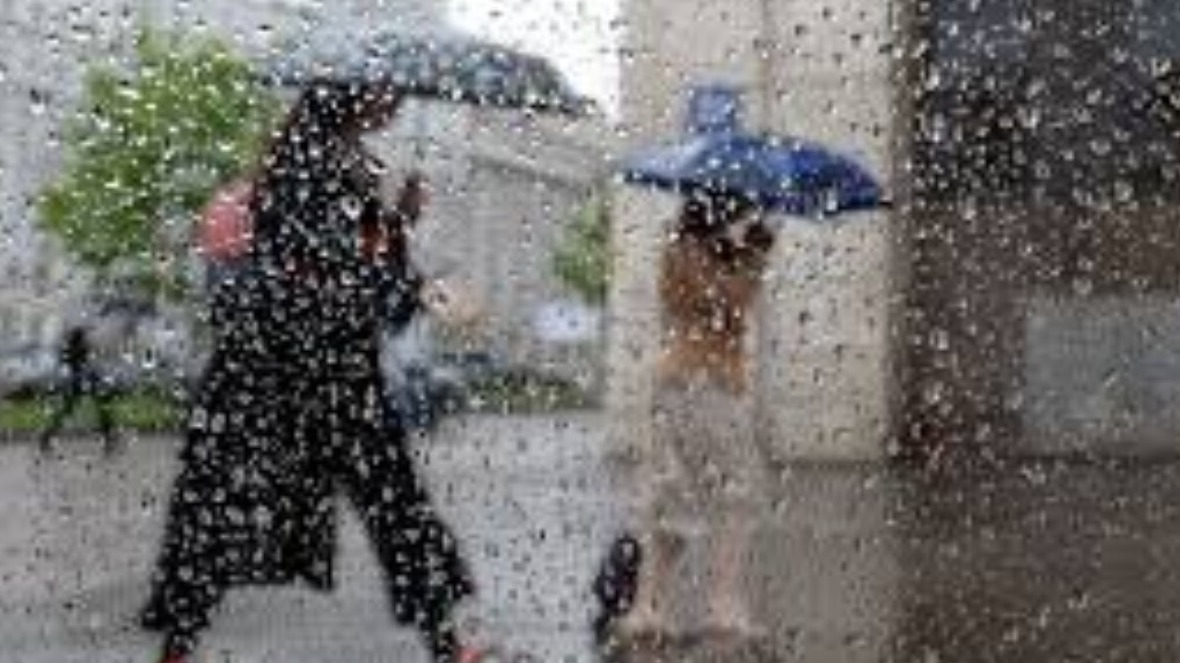 New best parada wave