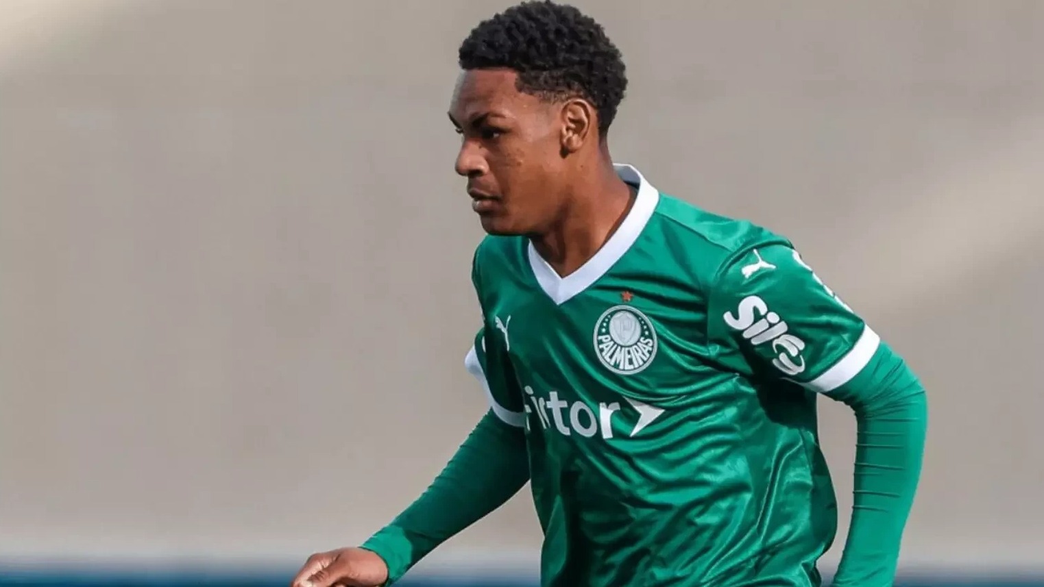 New best parada wave