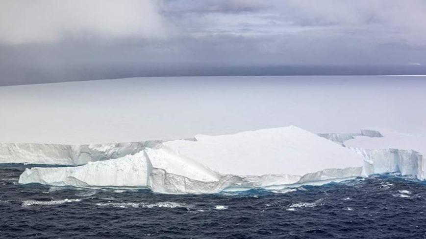 New best parada wave