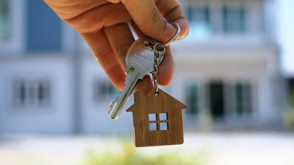 New best parada wave