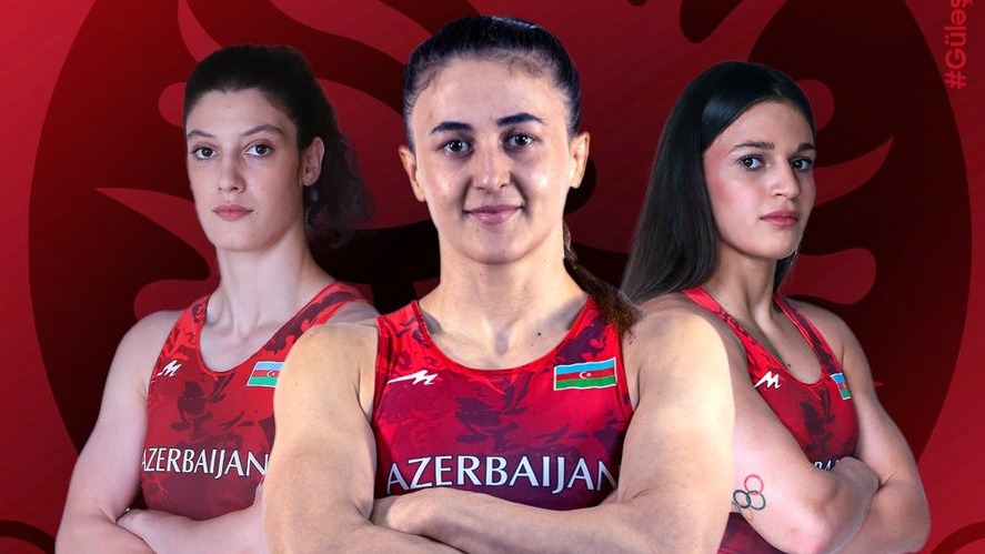 New best parada wave