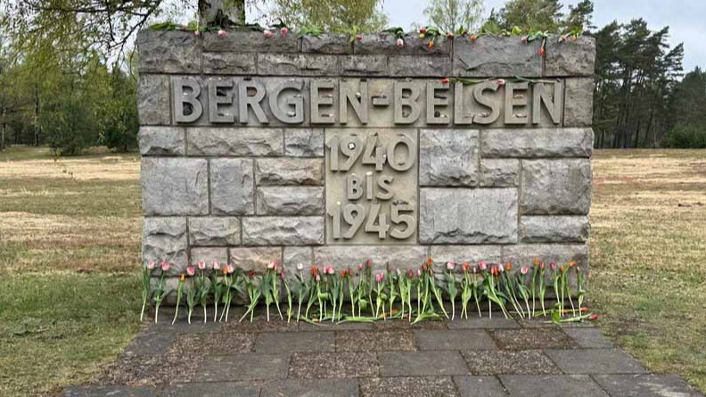 New best parada wave