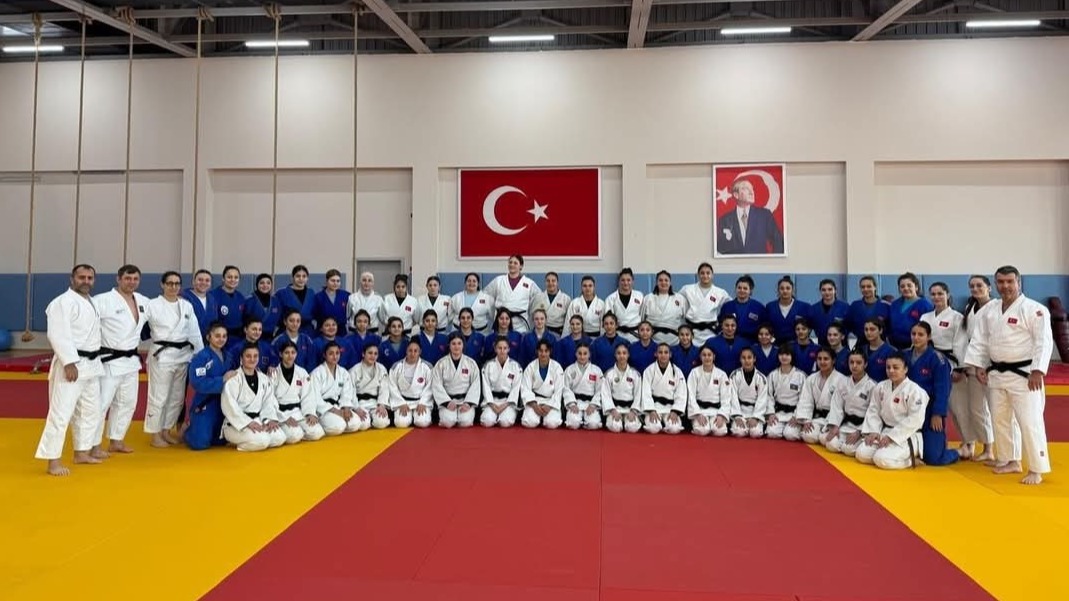 New best parada wave