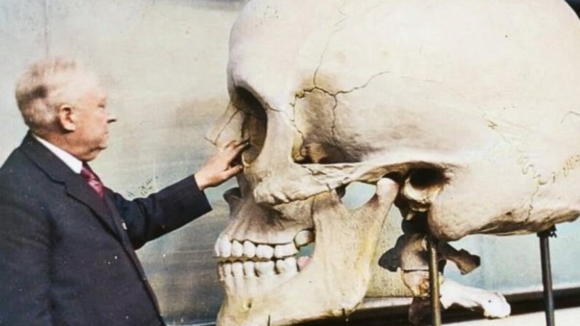 New best parada wave