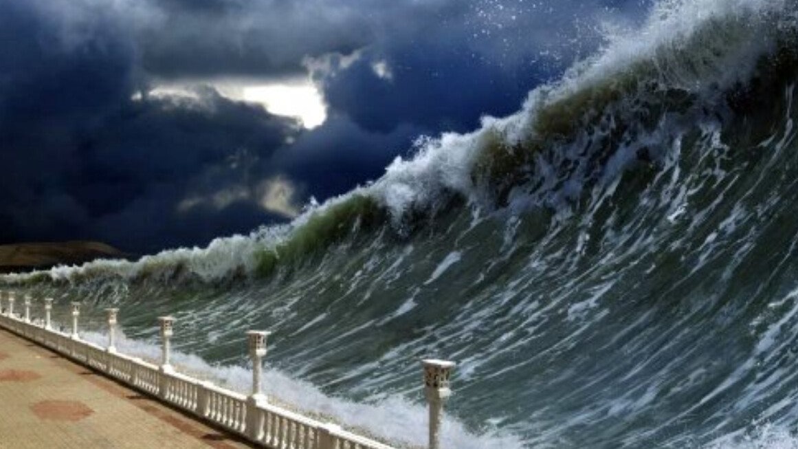 New best parada wave