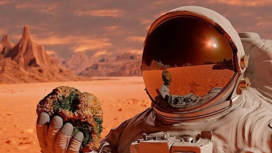 New best parada wave