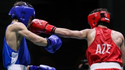 New best parada wave