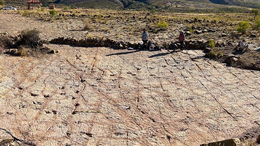 Beautiful tea cups to make you that matcha