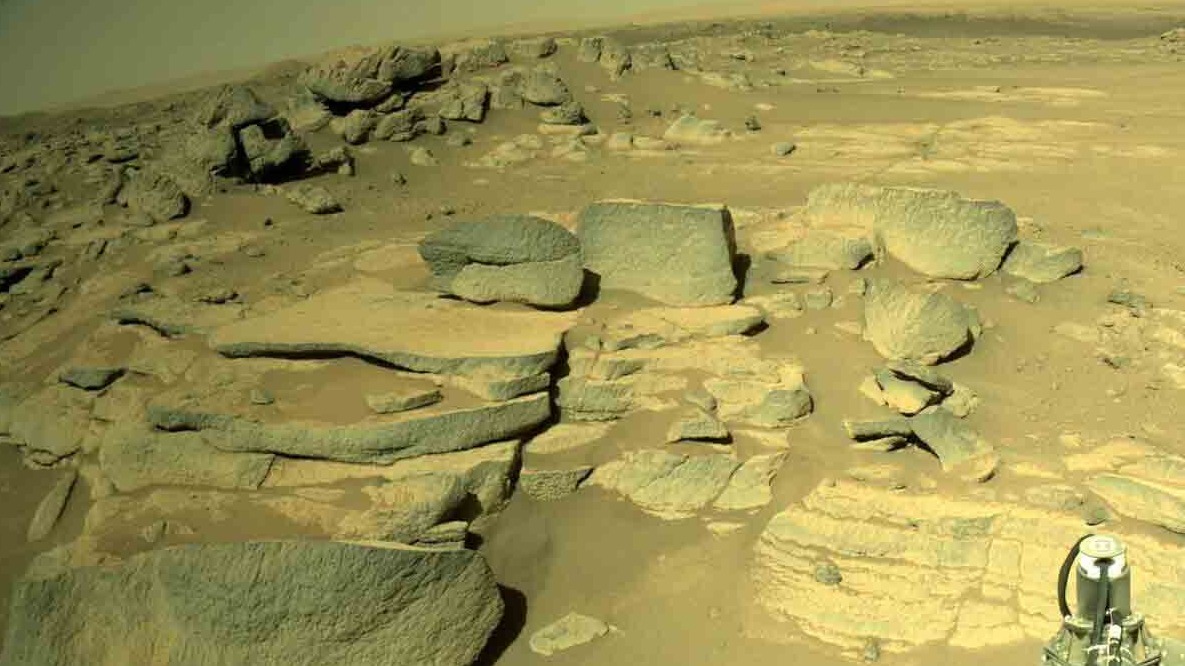 New best parada wave