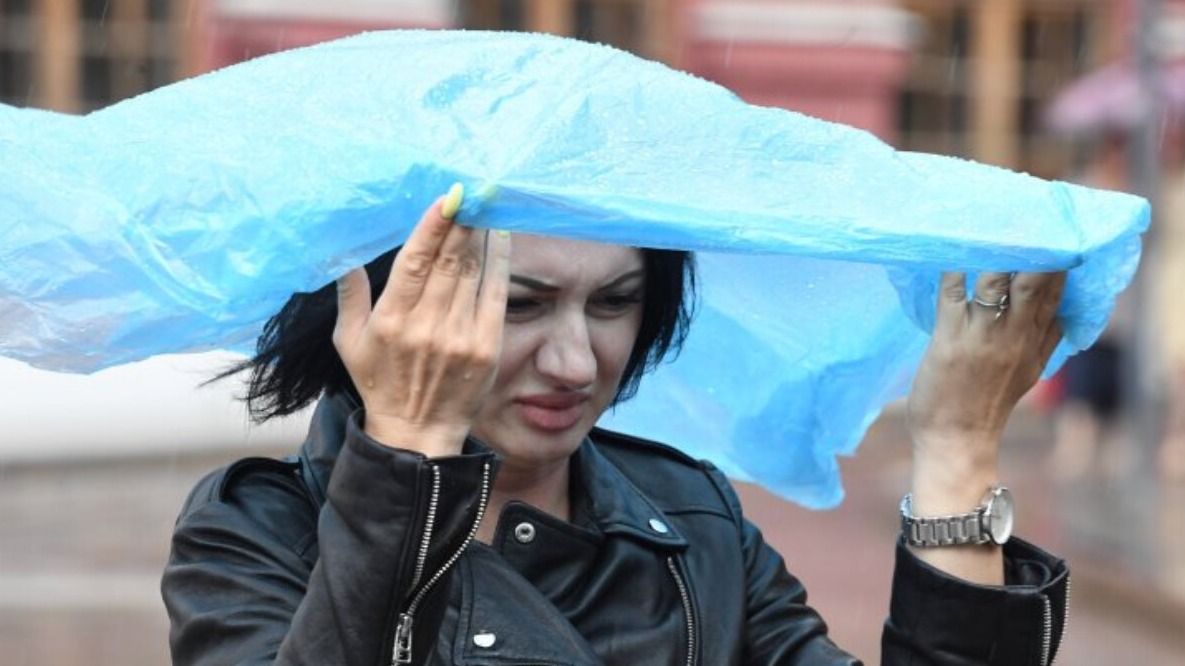 New best parada wave