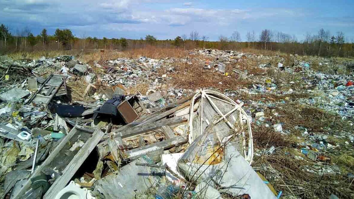 New best parada wave