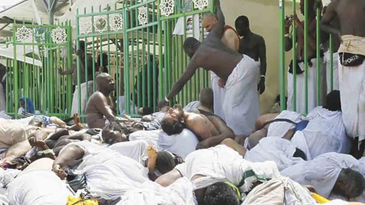 New best parada wave