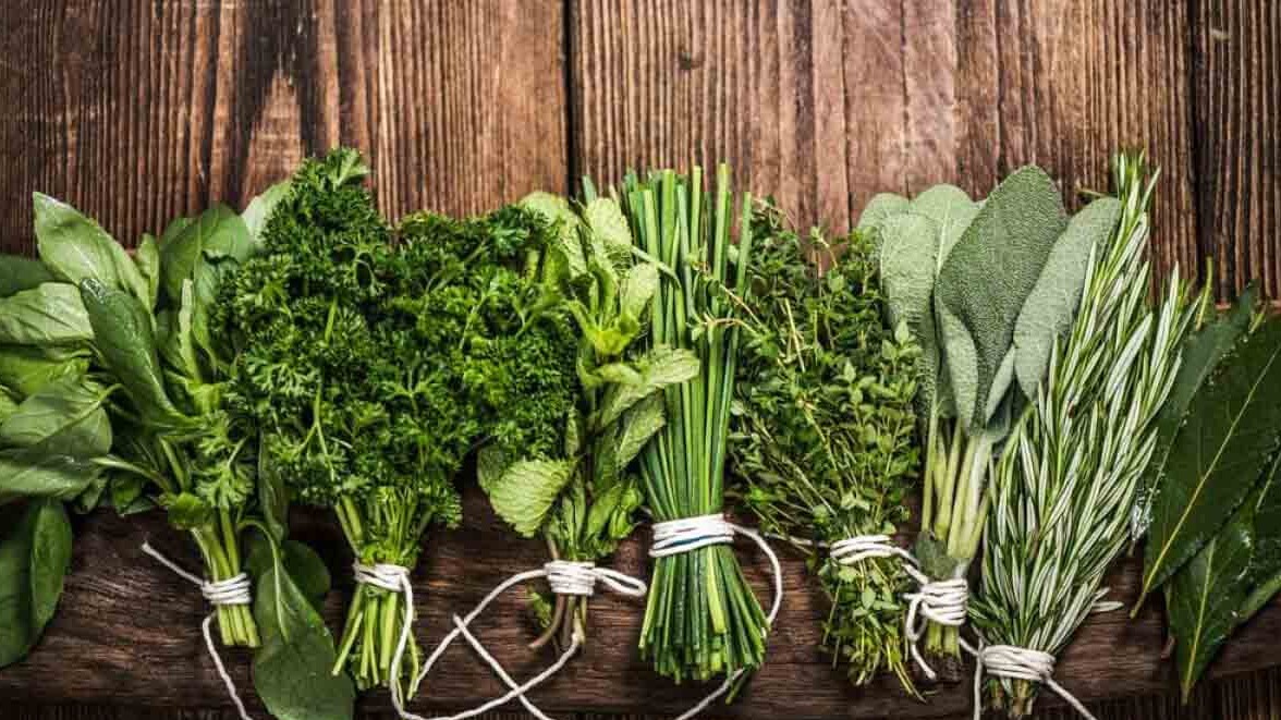 New best parada wave