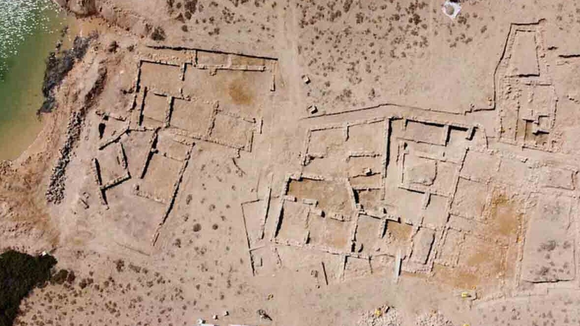 New best parada wave