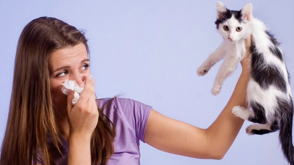 New best parada wave