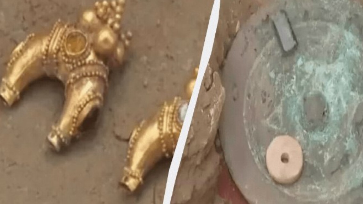 New best parada wave