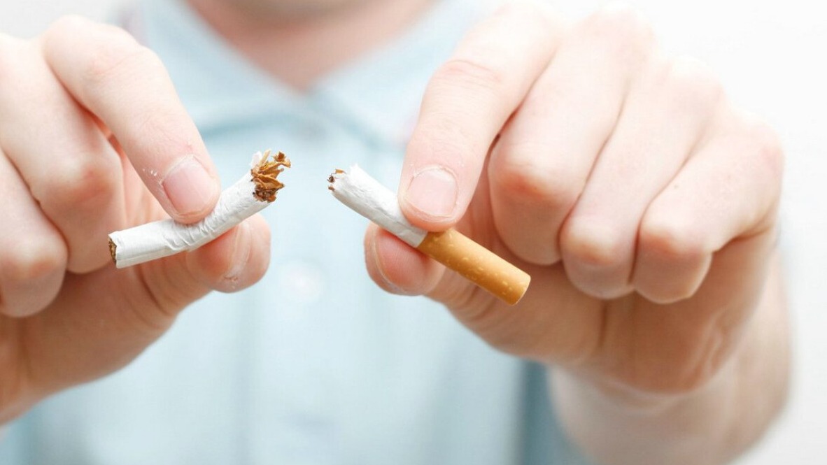 New best parada wave