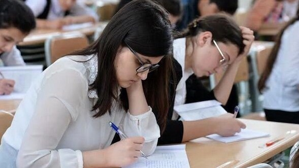 New best parada wave