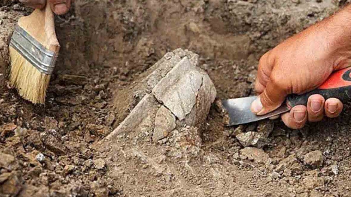 New best parada wave