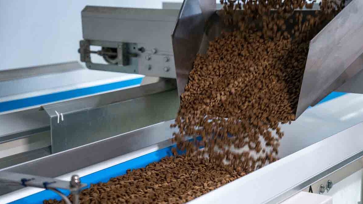 New best parada wave