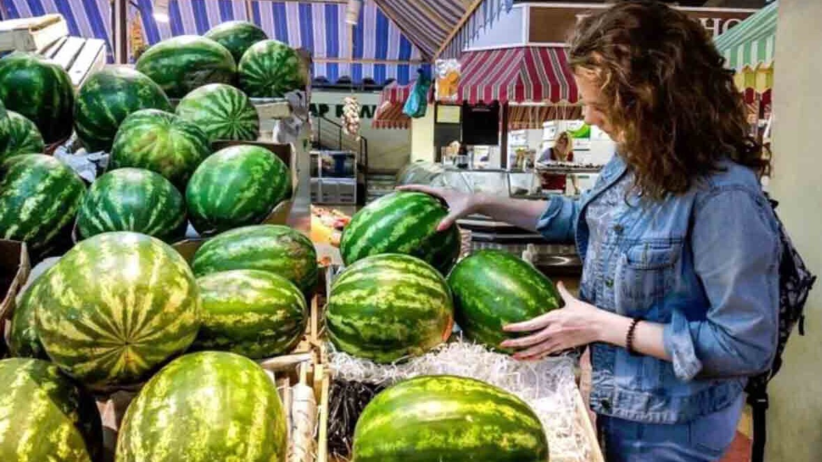 New best parada wave