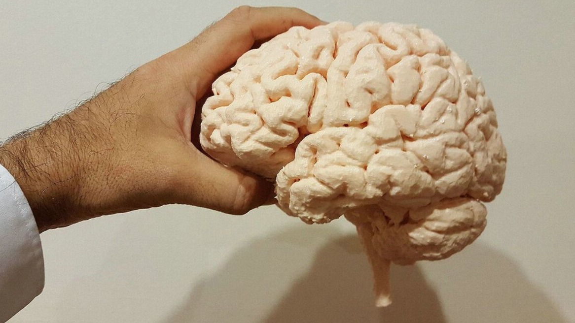 New best parada wave