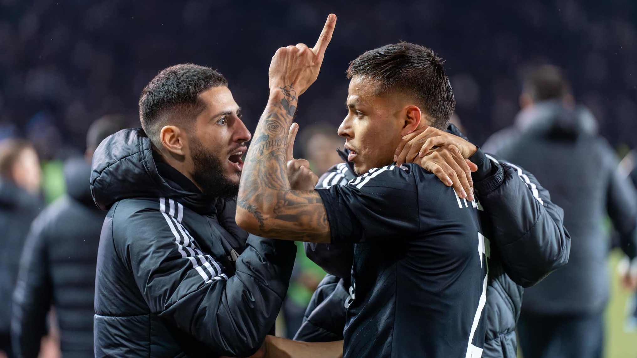 New best parada wave