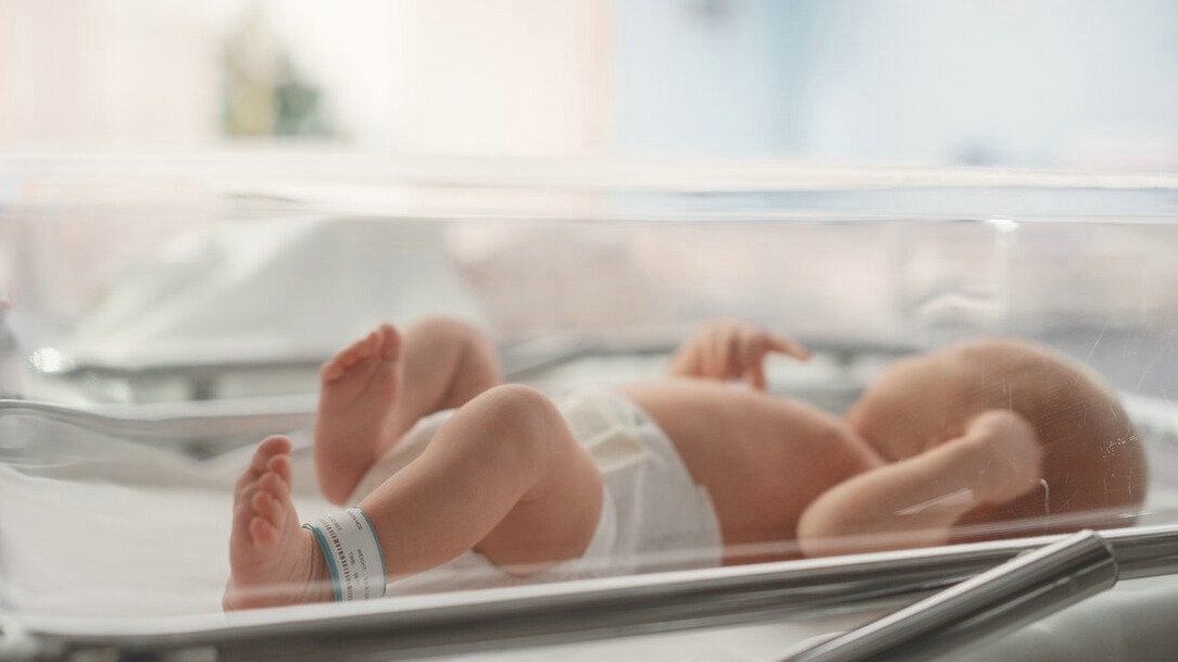 New best parada wave