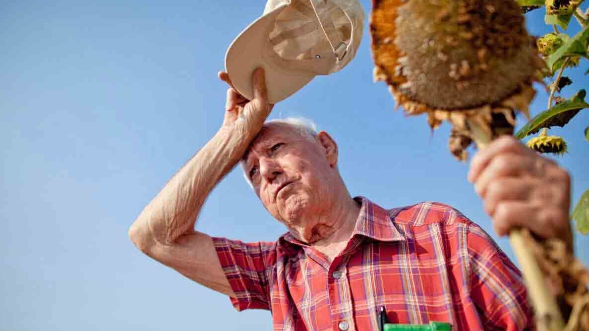 New best parada wave