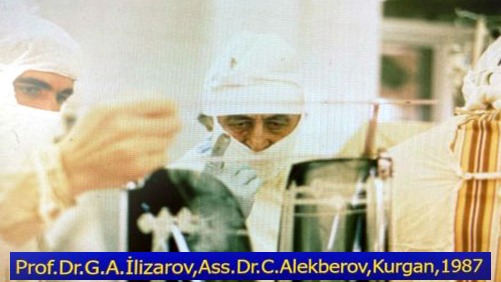 New best parada wave