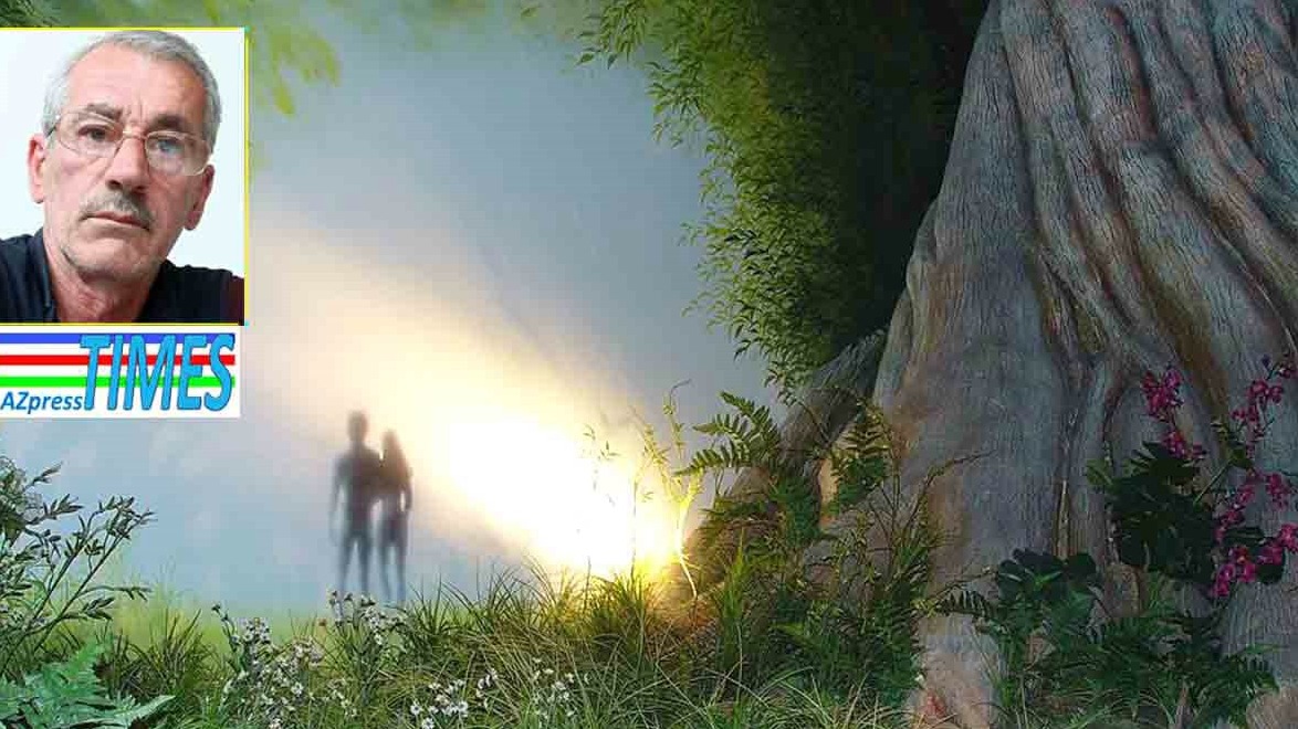 New best parada wave