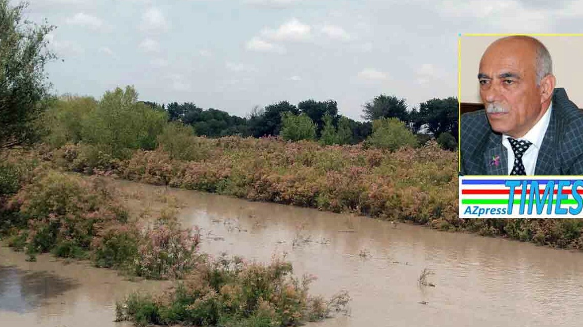 New best parada wave