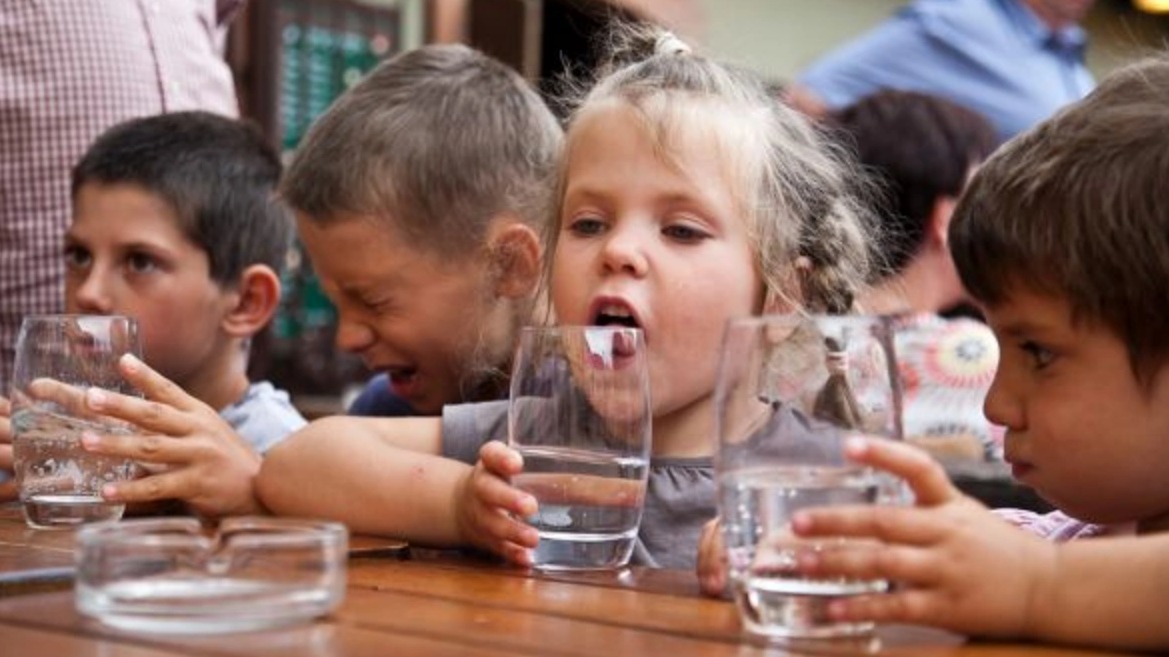 New best parada wave