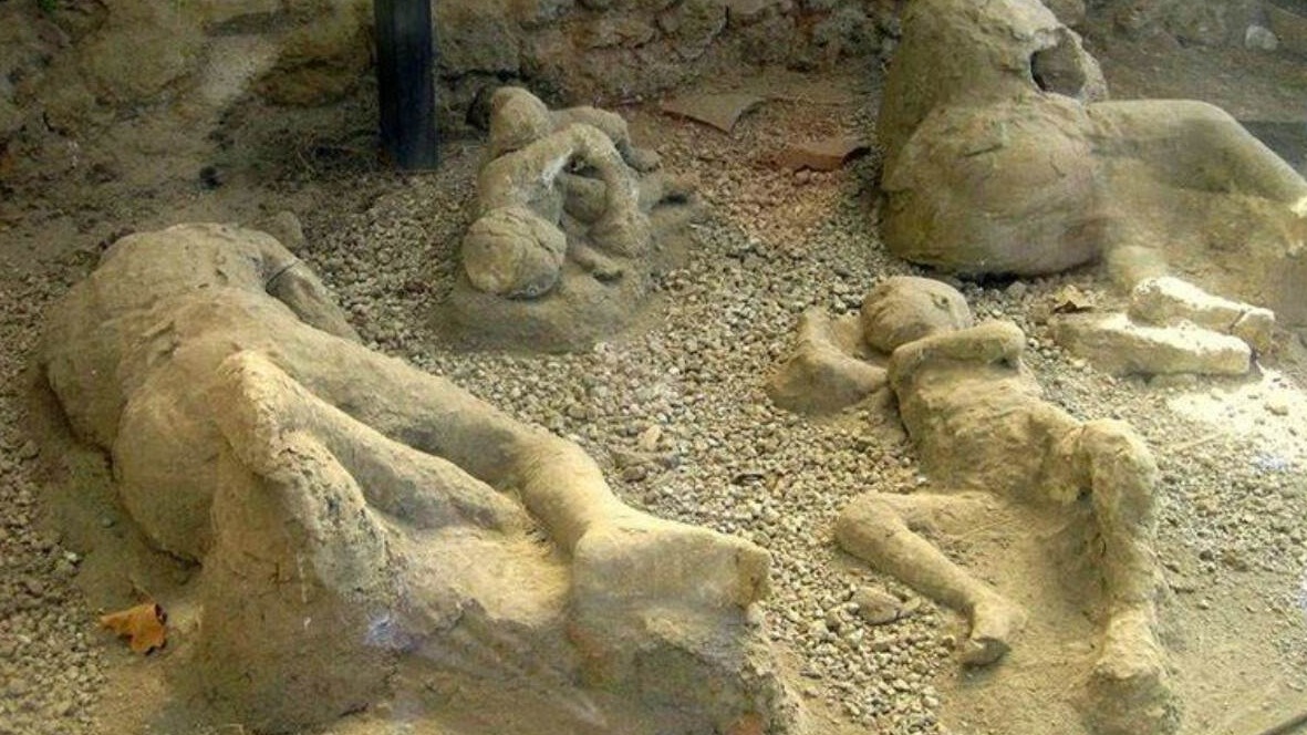 New best parada wave