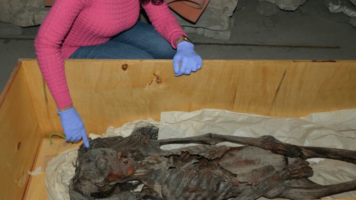 New best parada wave